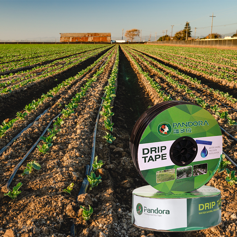 Pandora 1 Hectare  16mm Drip Hose Reel Irrigation System Flat Tape Drip Irrigation Pipes for Agriculture Farm